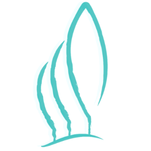 Los Álamos Clínica Dental